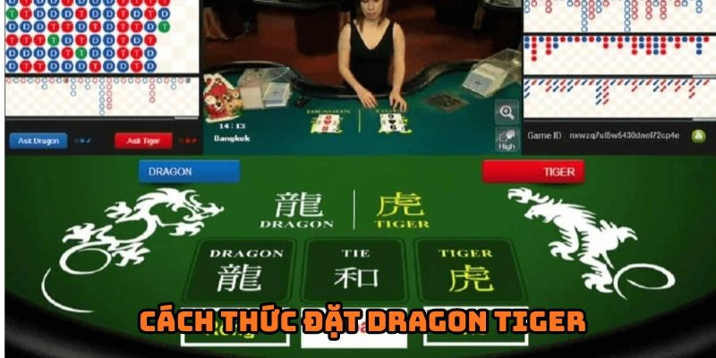 Cách thức đặt Dragon Tiger