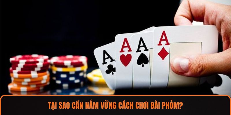 Tại sao cần nắm vững cách chơi bài phỏm?